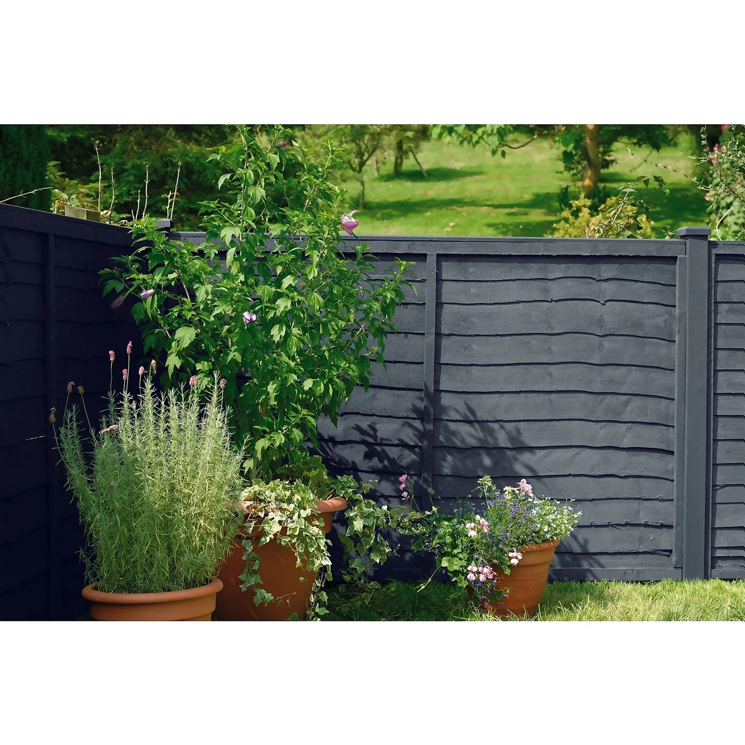 Cuprinol 5 Year Ducksback - Silver Copse - 5L Cuprinol 5 Year Ducksback - Silver Copse - 5L -Best Paint Shop 12804823 1634842792492135