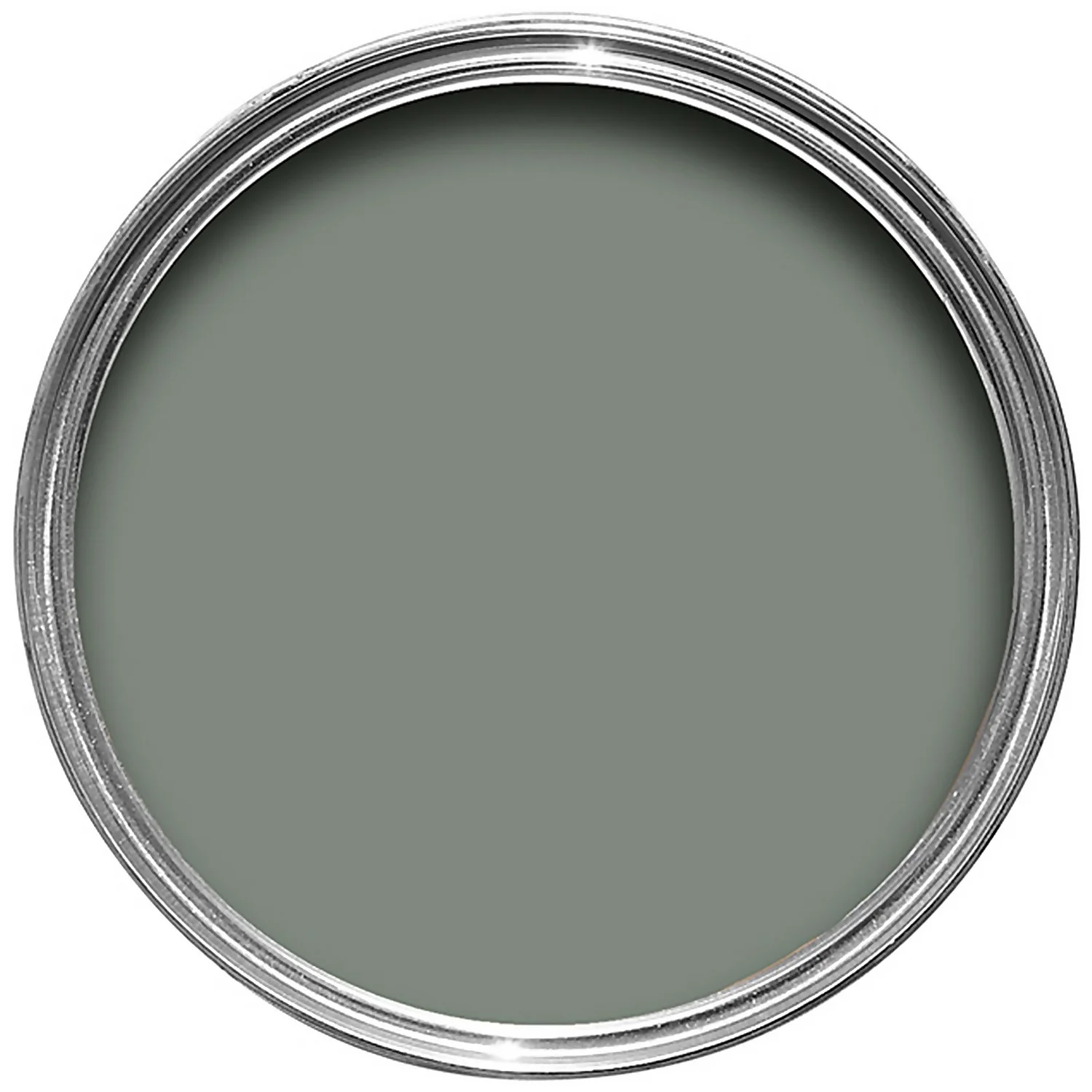Farrow & Ball Exterior Masonry Paint Card Room Green - 5L Farrow & Ball Exterior Masonry Paint Card Room Green - 5L -Best Paint Shop 12804847 4094951869051294