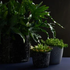 Craig & Rose Artisan Crackle Effect Spray Paint - Black - 400ml -Best Paint Shop 12817532 1464833199991187