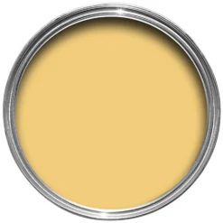 Farrow & Ball Estate Matt Emulsion Paint Citron - Tester 100ml -Best Paint Shop 12819438 1784951388882388