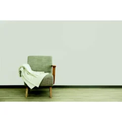 Craig & Rose 1829 Chalky Matt Emulsion Paint Exposition Gris - 2.5L -Best Paint Shop 12820545 1244832989698609