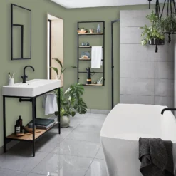 Homebase Bathroom Mid Sheen Paint - Chinese Evergreen 2.5L -Best Paint Shop 12832550 2024832985548094