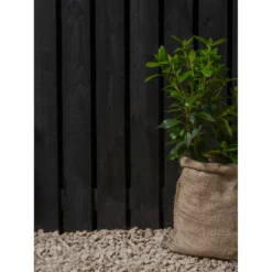 Ronseal Fence Life Plus Paint Tudor Black Oak - 5L 3 Ronseal Fence Life Plus Paint Tudor Black Oak - 5L -Best Paint Shop 12833707 3314944410694045
