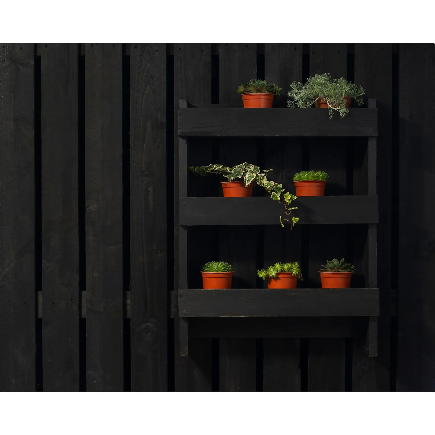 Ronseal Fence Life Plus Paint Tudor Black Oak - 5L Ronseal Fence Life Plus Paint Tudor Black Oak - 5L -Best Paint Shop 12833707 5684944410635236