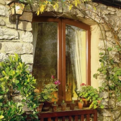 Sadolin Extra Durable Woodstain Antique Pine - 2.5L 2 Sadolin Extra Durable Woodstain Antique Pine - 2.5L -Best Paint Shop 12836273 9094951406817420