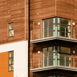 Sadolin Classic All Purpose Woodstain Antique Pine - 2.5L -Best Paint Shop 12845189 2124955541272712