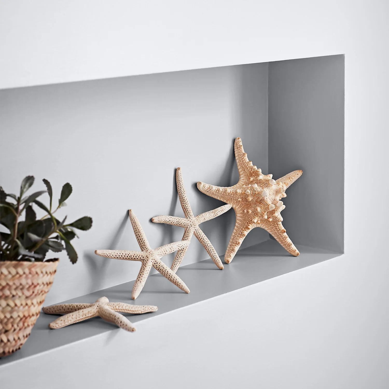 Crown Easyclean Bathroom Paint Clay White - 0.04L Crown Easyclean Bathroom Paint Clay White - 0.04L -Best Paint Shop 12886552 3714853989535955