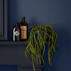 Crown Easyclean Bathroom Paint Midnight Navy - 40ml -Best Paint Shop 12886554 1294853989547064