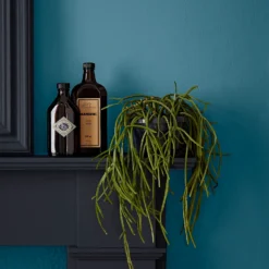 Crown Easyclean Bathroom Paint Teal - 0.04L -Best Paint Shop 12886566 2014853989681893