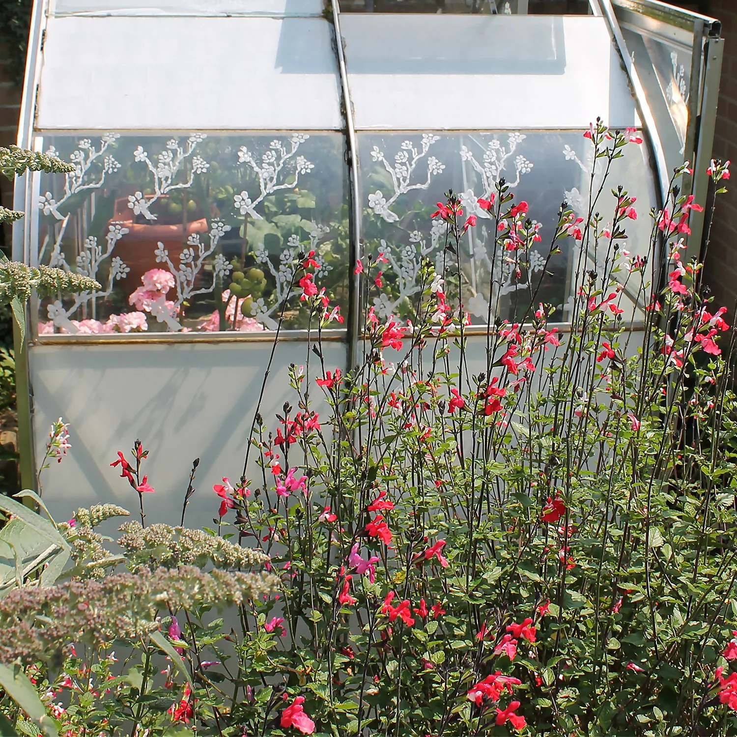 Thorndown Purple Puffin Peelable Glass Paint 750ml Thorndown Purple Puffin Peelable Glass Paint 750ml -Best Paint Shop 13301882 2044920789533160